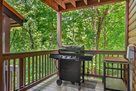 573 Weaver Creek Way Blue Ridge GA 30513