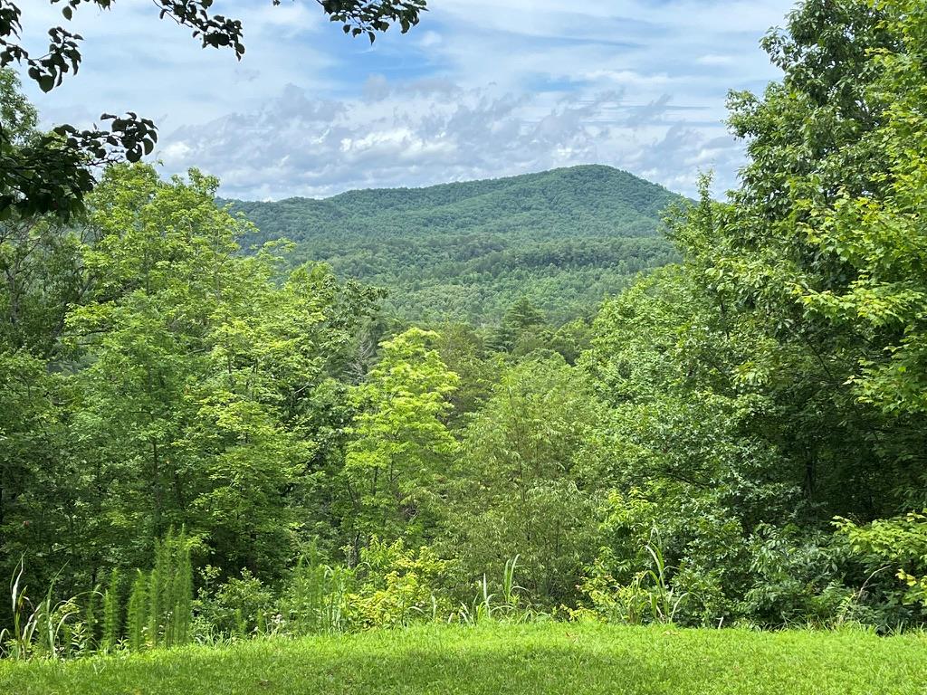 210 Autumn View Lane Murphy NC 28906