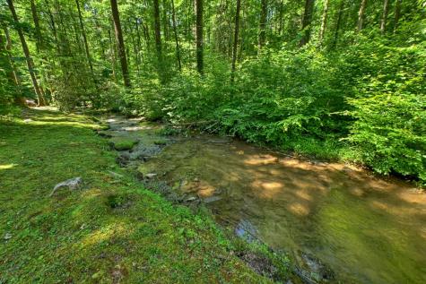280 Serenity Place Ellijay GA 30540