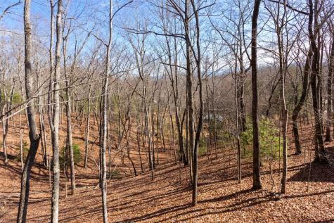87 Tuscarora Trail Murphy NC 28906