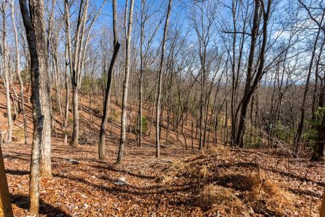 87 Tuscarora Trail Murphy NC 28906