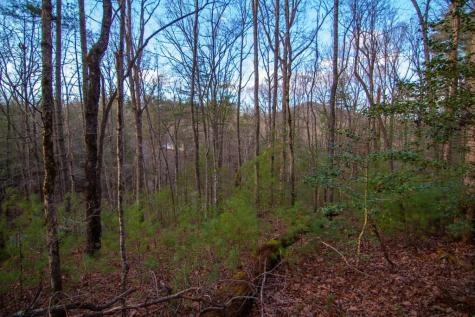 Lot 1 Rock Creek Cherry Log GA 30522