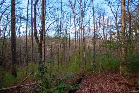 Lot 1 Rock Creek Cherry Log GA 30522