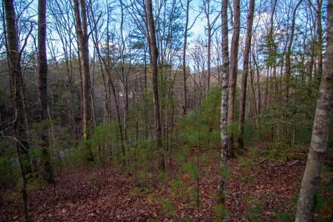 Lot 1 Rock Creek Cherry Log GA 30522