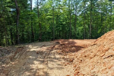 Lot 1 Rock Creek Cherry Log GA 30522
