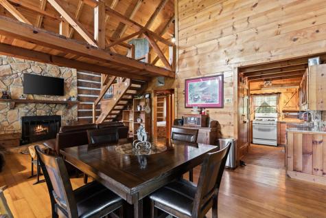 21 Mountain View Trail Cherry Log GA 30572