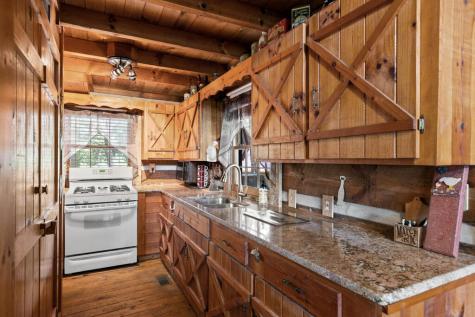 21 Mountain View Trail Cherry Log GA 30572