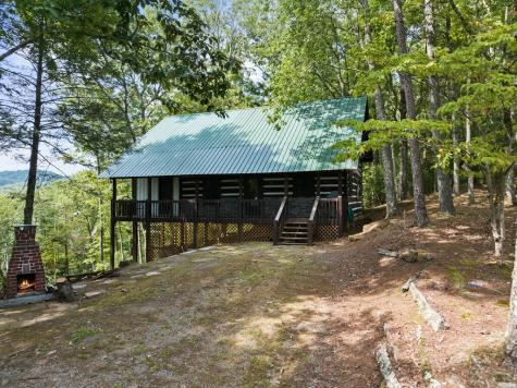 21 Mountain View Trail Cherry Log GA 30572