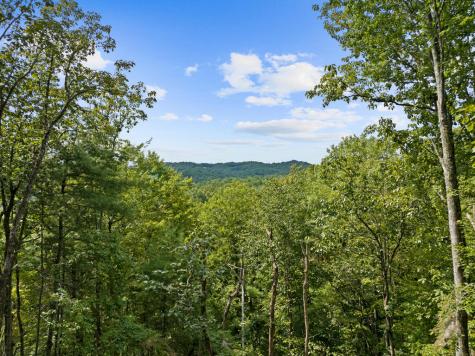 21 Mountain View Trail Cherry Log GA 30572
