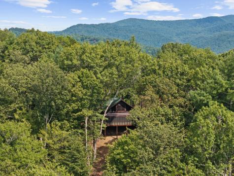 21 Mountain View Trail Cherry Log GA 30572