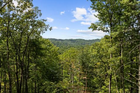 21 Mountain View Trail Cherry Log GA 30572
