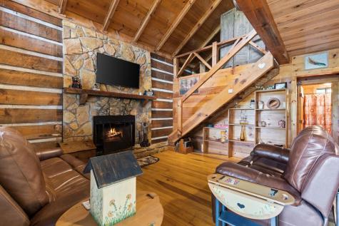 21 Mountain View Trail Cherry Log GA 30572