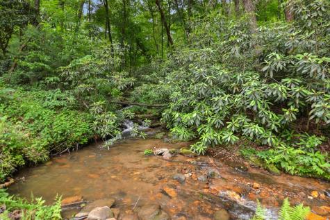 17 Emmaus Walk Blue Ridge GA 30513