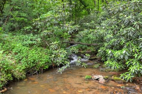 17 Emmaus Walk Blue Ridge GA 30513