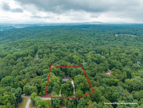 460 Pasha Drive Ellijay GA 30540