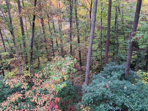 55 Laurel Springs Drive Murphy NC 28906