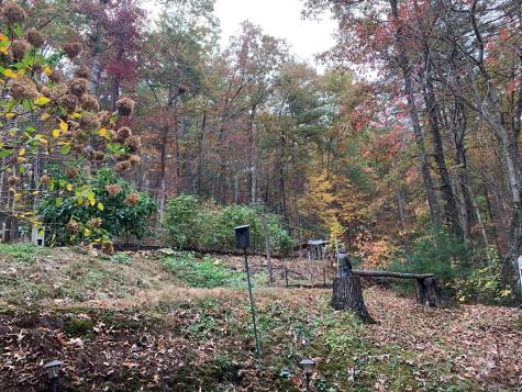55 Laurel Springs Drive Murphy NC 28906