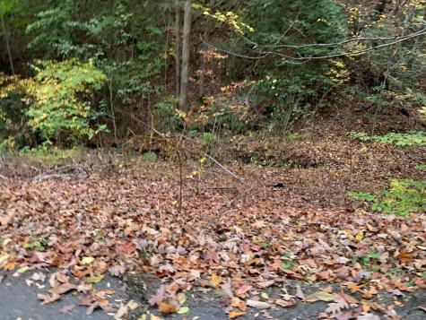55 Laurel Springs Drive Murphy NC 28906