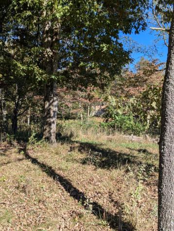 125 Haymore Farm Road Mineral Bluff GA 30559