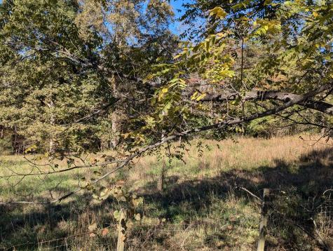 125 Haymore Farm Road Mineral Bluff GA 30559