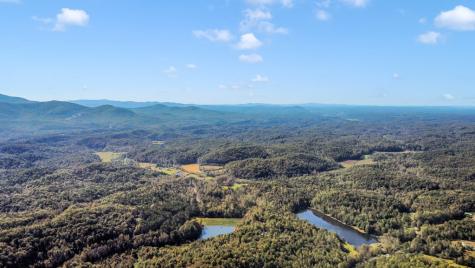 55 Mount Pleasant Drive Ellijay GA 30540