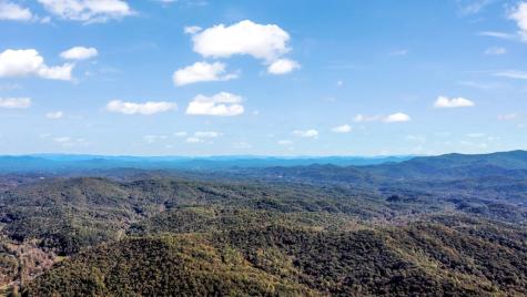 55 Mount Pleasant Drive Ellijay GA 30540