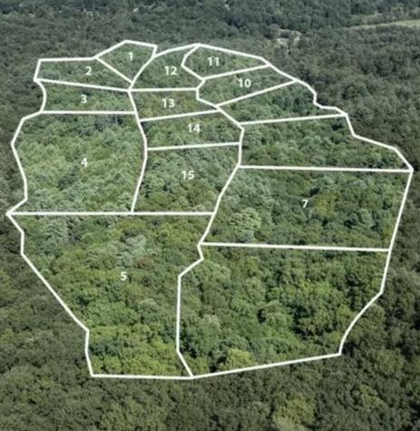 Lot 2 NW Rocking Chair Ridge Mineral Bluff GA 30559