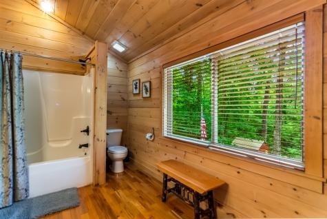 661 Evergreen Lane Mineral Bluff GA 30559