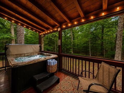 661 Evergreen Lane Mineral Bluff GA 30559