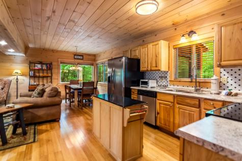 661 Evergreen Lane Mineral Bluff GA 30559