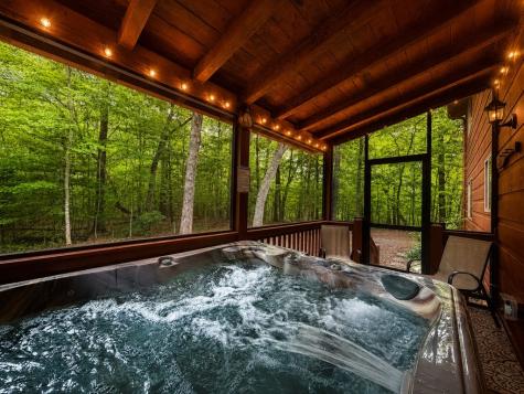 661 Evergreen Lane Mineral Bluff GA 30559