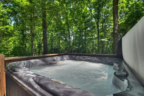 979 Cherokee Lane Mccaysville GA 30555