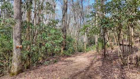 520 Farmer Drive Murphy NC 28906