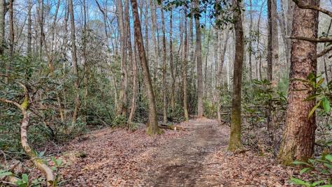 520 Farmer Drive Murphy NC 28906