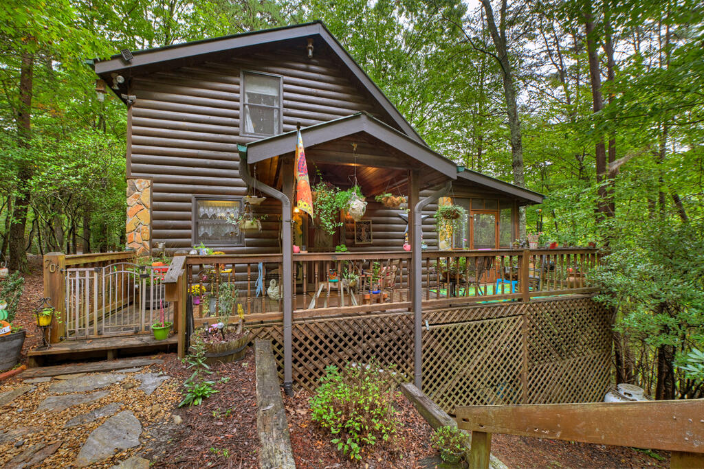 70 Ridgeview Blue Ridge GA 30513