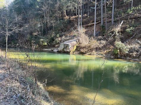 1281 High River Crossing Ellijay GA 30540