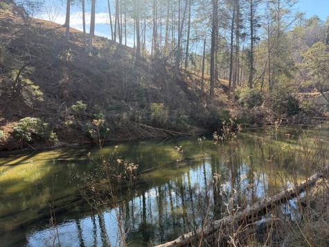 1281 High River Crossing Ellijay GA 30540