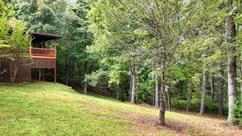 364 Brasstown Hills Road Brasstown NC 28902