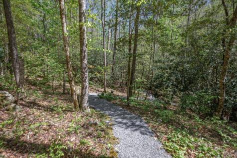 7904 Mr. Bert Road Hiawassee GA 30546