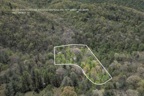 7904 Mr. Bert Road Hiawassee GA 30546