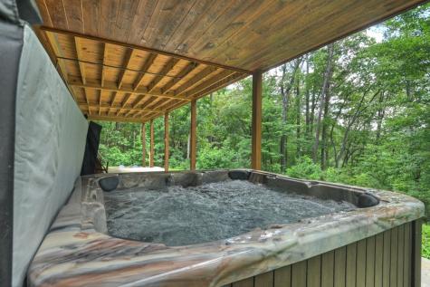 200 Forest View Lane Mineral Bluff GA 30559