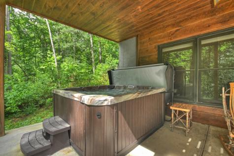 200 Forest View Lane Mineral Bluff GA 30559
