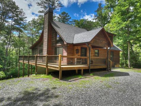 200 Forest View Lane Mineral Bluff GA 30559