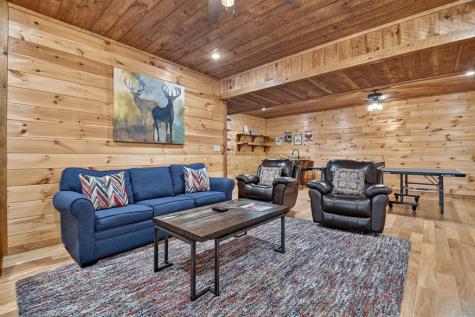 200 Forest View Lane Mineral Bluff GA 30559