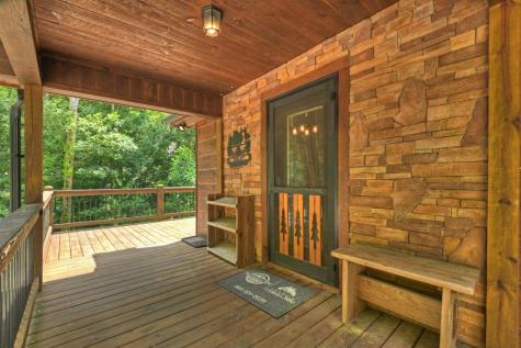 200 Forest View Lane Mineral Bluff GA 30559