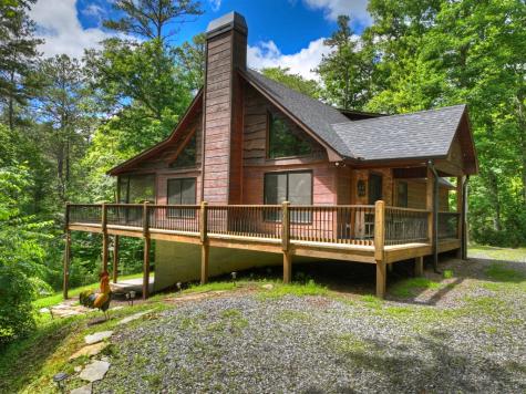 200 Forest View Lane Mineral Bluff GA 30559