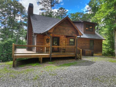 200 Forest View Lane Mineral Bluff GA 30559