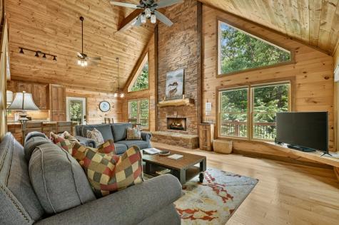 200 Forest View Lane Mineral Bluff GA 30559