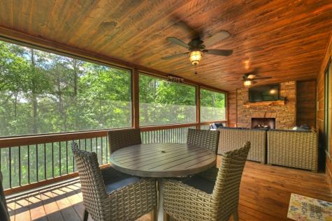 200 Forest View Lane Mineral Bluff GA 30559