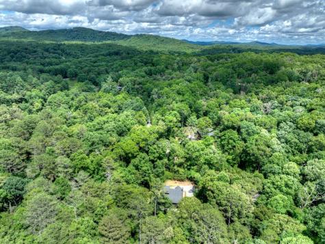 200 Forest View Lane Mineral Bluff GA 30559